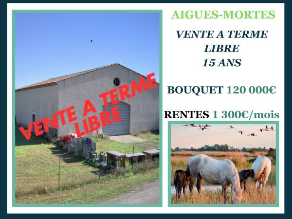 Hangar en Vente à Terme Libre
