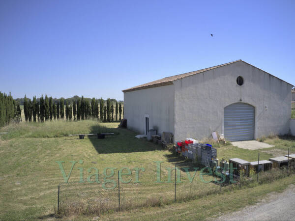 HANGAR AGRICOLE AIGUES-MORTES