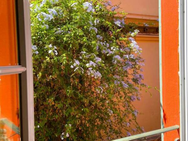 Photo de 